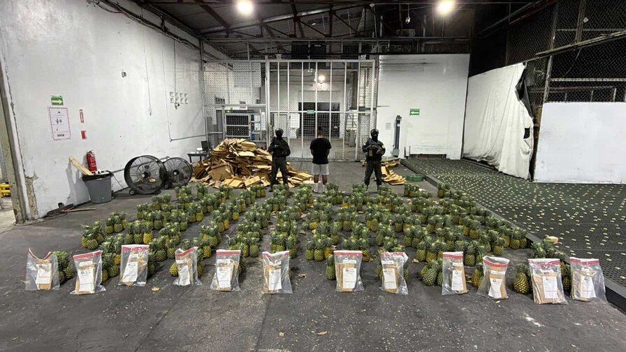 DNCD ocupa 121 láminas de presunta cocaína ocultas en cargamento de piñas en AILA