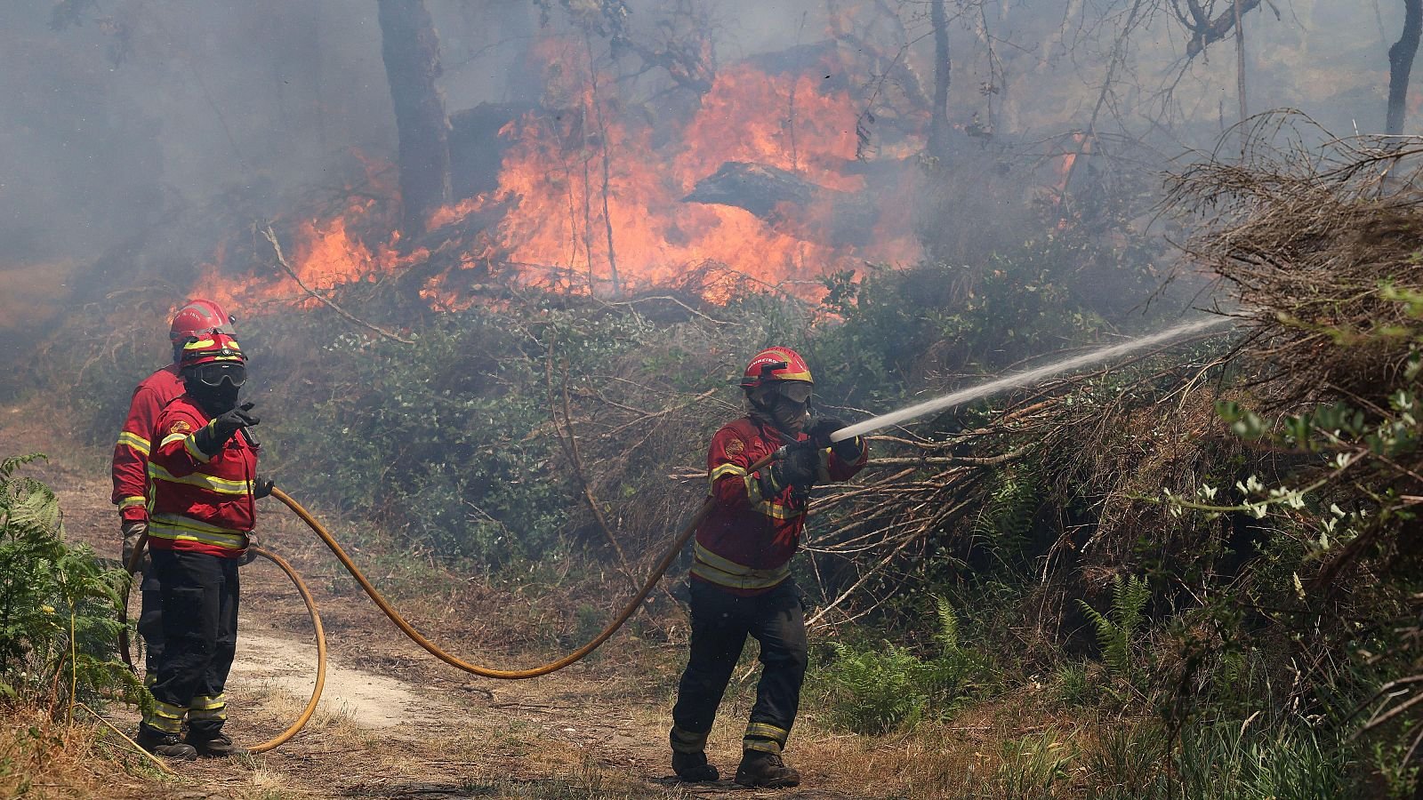 incendio de Vouzela