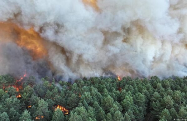 Incendio forestal arrasa 180 hectáreas en el sur de Francia y obliga a evacuar a más de 120 personas
