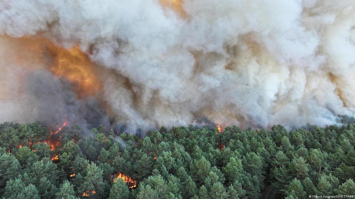 Incendio forestal arrasa 180 hectáreas en el sur de Francia y obliga a evacuar a más de 120 personas