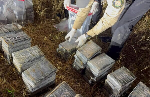 La Dirección Nacional de Control de Drogas (DNCD) informó este domingo el decomiso de 237 paquetes de una sustancia presumiblemente cocaína, además de RD$296,000 en efectivo, dos vehículos, una escopeta, un rifle de perdigones, un chaleco antibalas y nueve teléfonos celulares, durante un operativo realizado en el kilómetro 36 de la autopista Duarte, donde fueron arrestados tres hombres. La operación fue ejecutada de manera conjunta con el Ministerio Público y con el apoyo de organismos de inteligencia del Estado, tras recibir informaciones sobre el traslado de una cantidad indeterminada de sustancias narcóticas. Según la DNCD, los agentes desplegaron un dispositivo de vigilancia, seguimiento e interdicción para interceptar a los ocupantes de dos vehículos. Durante la intervención, uno de los sospechosos fue detenido mientras se desplazaba en un automóvil, mientras otro abandonó una camioneta e ingresó a una zona boscosa para evadir el cerco de las autoridades. Al inspeccionar la camioneta, los equipos actuantes localizaron varias caletas ocultas en la parte trasera del vehículo, donde fueron encontrados los 237 paquetes, envueltos en fundas plásticas con distintos logotipos. La institución indicó que los tres detenidos son de nacionalidad dominicana y que continúan las labores para capturar a otros presuntos integrantes de la estructura criminal, quienes ya habrían sido identificados por los investigadores. Además de la presunta droga, las autoridades ocuparon los dos vehículos utilizados en la operación, una escopeta, un rifle de perdigones, un chaleco antibalas, nueve celulares, RD$296,000 en efectivo y diversos documentos relacionados con la investigación. El Ministerio Público y la DNCD informaron que amplían las pesquisas, mientras los paquetes fueron enviados al Instituto Nacional de Ciencias Forenses (Inacif) para determinar el tipo y el peso exacto de la sustancia incautada.