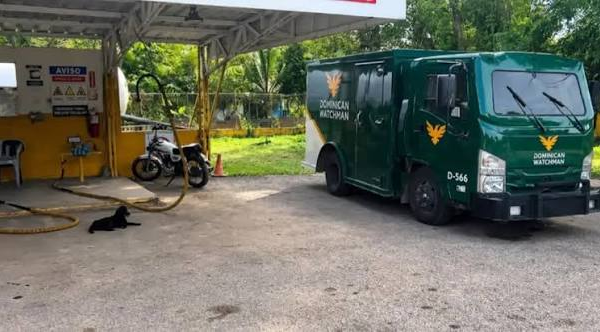 El Ministerio Público informó que el asalto perpetrado el pasado 13 de julio contra un camión de transporte de valores en el distrito municipal Don Juan, provincia Monte Plata, dejó un botín de RD$12 millones, según consta en la solicitud de medida de coerción presentada contra los cuatro imputados del caso. Los acusados, Aneuris Adolfo Ortiz Ogando, Remy Alberto González Adón, Juan Carlos Suero López y Benito Sánchez García, enfrentan cargos por asociación de malhechores y robo agravado con violencia y uso de armas de fuego, por lo que el órgano acusador solicitó un año de prisión preventiva en el CCR Las Parras y que el proceso sea declarado complejo. De acuerdo con el expediente, el asalto ocurrió alrededor de las 3:37 de la tarde en una estación de combustible Tropigas, ubicada en el Proyecto INVI de Don Juan. Los imputados, que se desplazaban en una Jeep Grand Cherokee Summit negra, interceptaron el camión de la empresa Dominican Watchman National S.A. y, bajo amenazas con armas de fuego, obligaron a uno de los custodios a abrir el compartimiento de seguridad. Los asaltantes sustrajeron 15 valijas, de las cuales 13 contenían dinero en efectivo, mientras que las otras dos guardaban documentos. Además, despojaron a los vigilantes de dos pistolas Glock propiedad de la empresa. Durante el hecho también fue asaltado Merquiades Manzueta, empleado de la estación de combustibles, a quien le robaron su teléfono celular, cartera y RD$8,700 en efectivo. El trabajador sufrió una quemadura de primer grado en uno de sus brazos, según certificó un informe médico. Los cuatro implicados fueron arrestados posteriormente como resultado de labores de inteligencia. No obstante, la Policía Nacional aún no ha informado si el dinero robado fue recuperado.