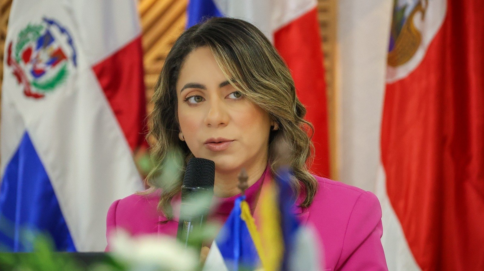 La ministra de la Mujer, Gloria Reyes, fue ratificada como presidenta pro tempore del Consejo de Ministras de la Mujer de Centroamérica y República Dominicana (Commca) para el período julio-diciembre de 2026, durante la LXIV Reunión Ordinaria del organismo, celebrada en Santo Domingo. La continuidad de la República Dominicana en la presidencia fue aprobada por unanimidad en reconocimiento a los avances logrados durante la gestión de Reyes, entre ellos el fortalecimiento de la articulación regional, la consolidación de alianzas estratégicas y el posicionamiento del Commca en espacios clave del Sistema de la Integración Centroamericana (SICA). Al asumir el nuevo período, Gloria Reyes afirmó que la ratificación permitirá dar continuidad a las estrategias regionales para reducir las brechas de desigualdad y fortalecer las políticas públicas dirigidas a mujeres, adolescentes y niñas. Durante la reunión, la delegación dominicana presentó el informe de cumplimiento del plan de trabajo correspondiente al primer semestre de 2026, en el que destacó avances en materia de incidencia política, fortalecimiento institucional y cooperación regional. Las ministras también aprobaron el Informe Político Estratégico sobre el Posicionamiento del Commca en la Agenda de Integración Regional, documento que orientará la participación del organismo en temas como movilidad humana, justicia climática, economía del cuidado, seguridad democrática, innovación, tecnología y educación para la igualdad. Asimismo, fue validada la hoja de ruta para evaluar los Planes Sectoriales de Igualdad del período 2024-2026 y preparar el nuevo ciclo de planificación 2027-2029, además de conocer los avances del proyecto "Movilidad Segura: Protocolo Regional para Mujeres Migrantes", financiado por el Fondo de Cooperación Corea-SICA. La jornada reunió a delegaciones de Guatemala, El Salvador, Honduras, Nicaragua, Costa Rica, Panamá y República Dominicana, así como al equipo técnico de la Secretaría Técnica de la Mujer del Commca, y concluyó con la adopción de acuerdos para fortalecer la cooperación regional y el seguimiento de las políticas de igualdad de género en Centroamérica y República Dominicana.