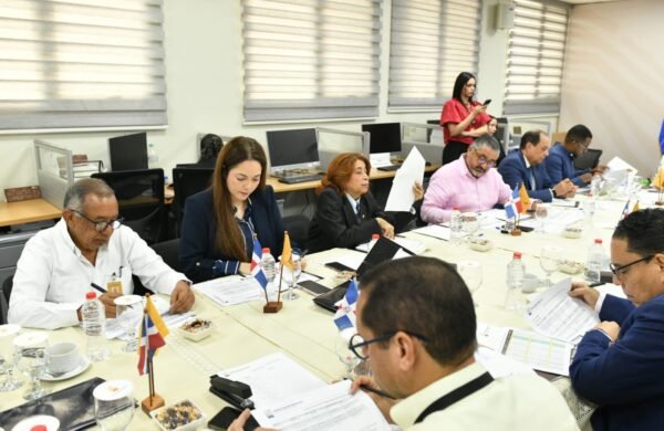 Comisión revisa expedientes para conformar organismos municipales