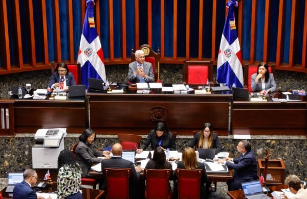 Senado aprueba cambios a Ley 60-23 para destinar fondos contra violencia de género