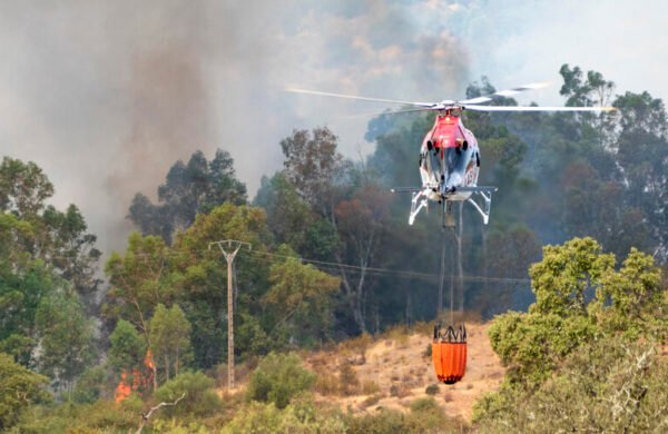 España lidera en área quemada de la UE con 120,000 hectáreas