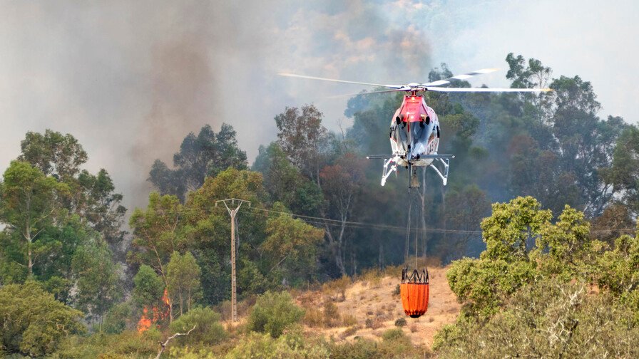 España lidera en área quemada de la UE con 120,000 hectáreas