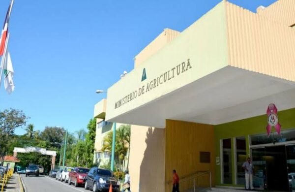 Agricultura activa plan nacional contra chinche de la espiga