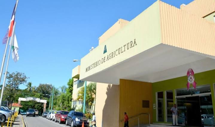 Agricultura activa plan nacional contra chinche de la espiga