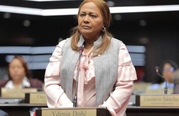 Ydenia Doñé será nueva vocera del PLD en Diputados